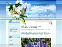 Tablet Screenshot of gyogynovenyek-gyogyteak.com